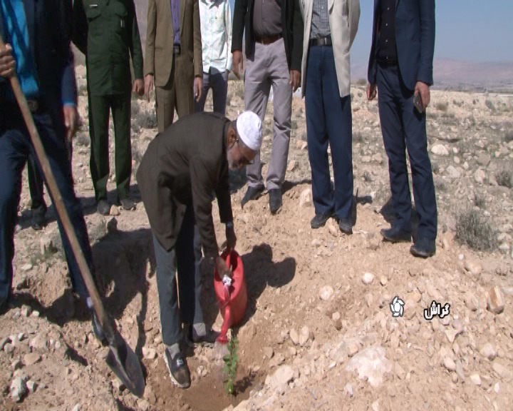 کاشت نهال به یاد شهدا در گراش