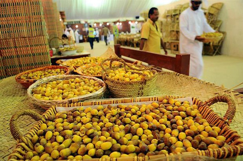 آغاز برداشت خارک و رطب در شادگان آغاز برداشت خارک و رطب در شادگان