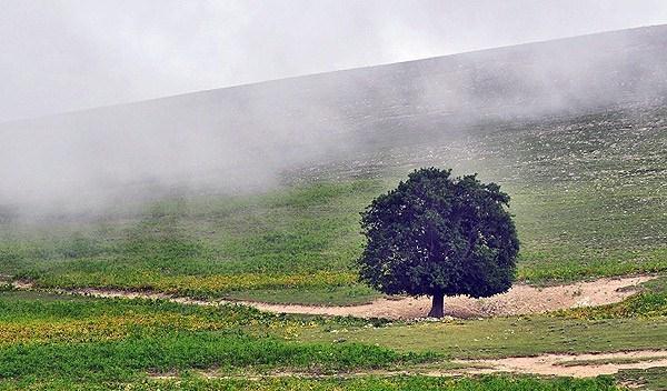بارش باران و خنکی هوای گیلان از اواخر امروز