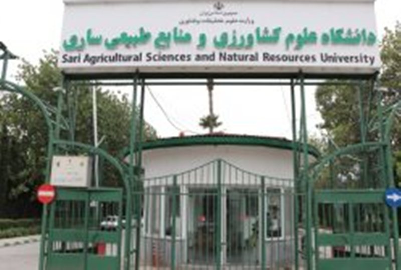 گام بلند محققان مازندران تغذیه بیماران نارسایی معده