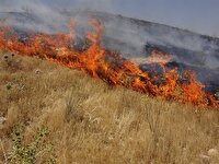 اعتراض به دود ناشی از سوزاندن نیشکر در اهواز