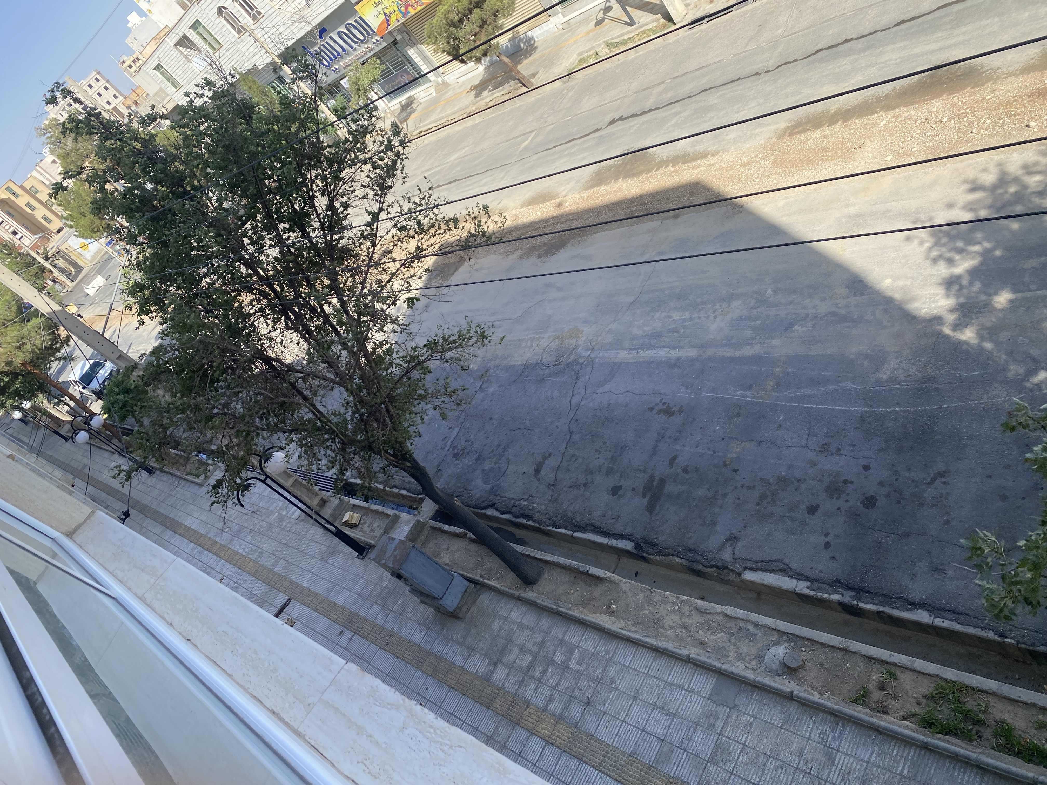 رنجش شهروندان از قطع درختان در دامغان رنجش شهروندان از قطع درختان در دامغان