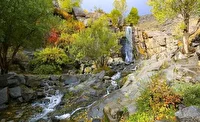 طنینِ دلنشین برگ ریزان خزان در دیار الوند