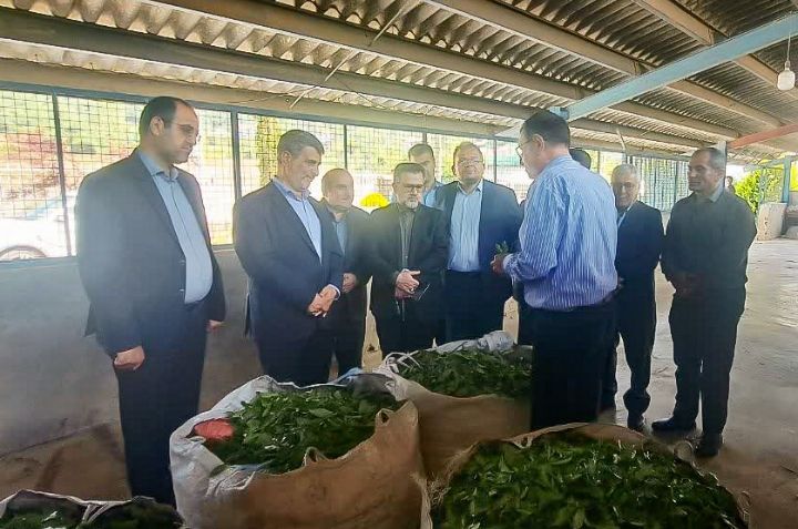 سفر رئیس کل دادگستری گیلان به شهرستان‌های شرقی با هدف رفع مشکلات