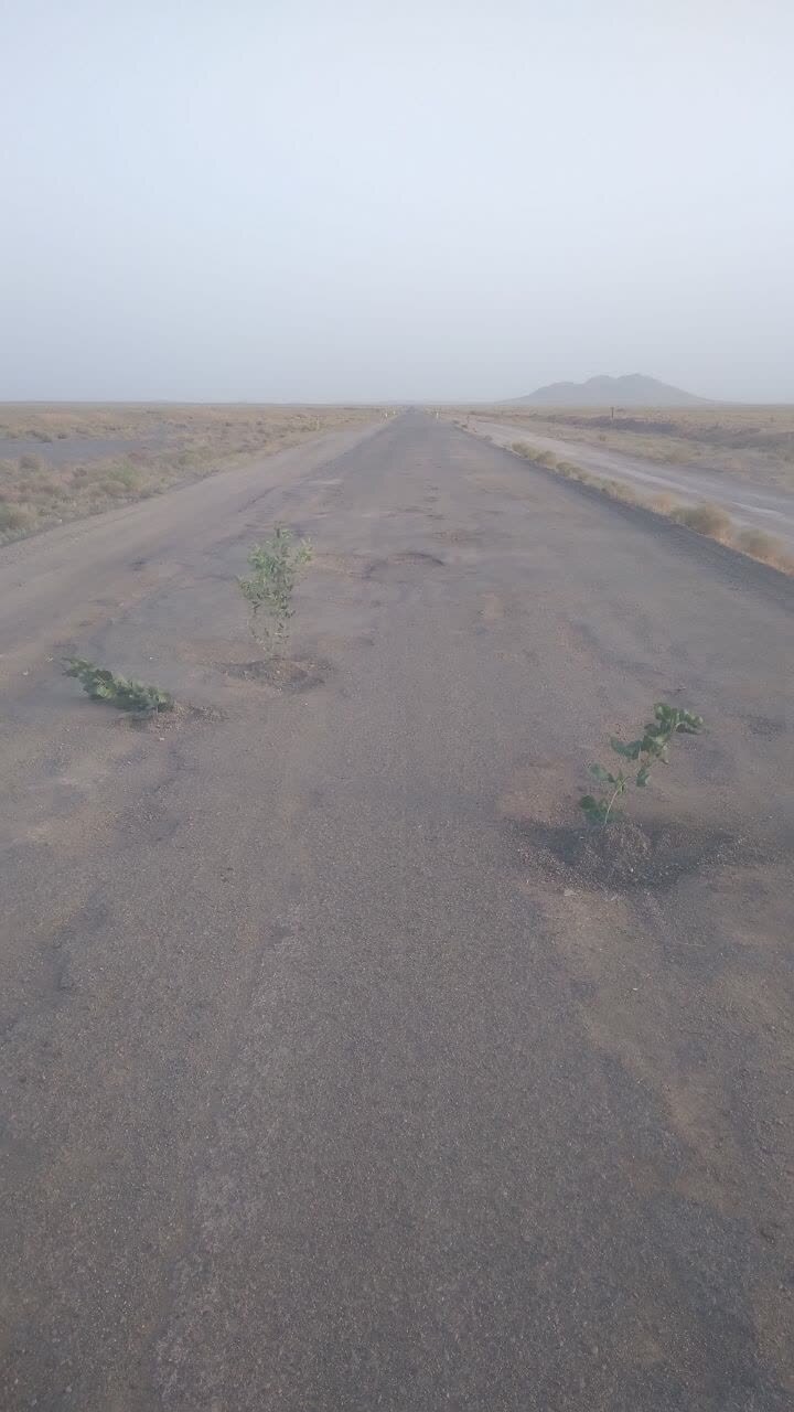 گلایه ساکنین نهبندان خراسان جنوبی از وضعیت جاده روستای رومه گلایه ساکنین نهبندان خراسان جنوبی از وضعیت جاده روستای رومه