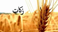 بوکان رتبه نخست پرداخت زکات در آذربایجان غربی