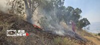 آتش سوزی ۱۰ هکتار از ارتفاعات مشرف به روستای دارشاهی بویراحمد