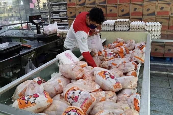 توزیع ۸۸۰ تن مرغ منجمد تنظیم بازاری از ابتدای سال جاری تاکنون توزیع ۸۸۰ تن مرغ منجمد تنظیم بازاری از ابتدای سال جاری تاکنون