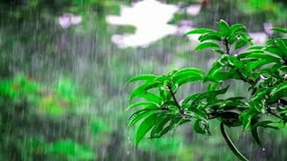 ***پیش بینی رگبار در شمال و وزش باد در شرق ***پیش بینی رگبار در شمال و وزش باد در شرق