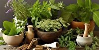 مصرف خودسرانه داروهای گیاهی خطرناک است